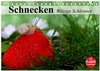 Buchcover Schnecken. Witzige Schleimer (Tischkalender 2024 DIN A5 quer), CALVENDO Monatskalender