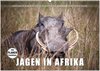 Buchcover Emotionale Momente: Jagen in Afrika. (Wandkalender 2024 DIN A2 quer), CALVENDO Monatskalender