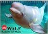Buchcover Wale. Kolosse der Meere (Tischkalender 2024 DIN A5 quer), CALVENDO Monatskalender