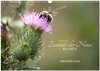 Buchcover Zierbilder der Natur BLUMEN (Wandkalender 2024 DIN A3 quer), CALVENDO Monatskalender