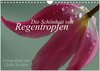 Buchcover Die Schönheit von Regentropfen (Wandkalender 2024 DIN A4 quer), CALVENDO Monatskalender