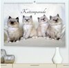 Buchcover Katzenparade (hochwertiger Premium Wandkalender 2024 DIN A2 quer), Kunstdruck in Hochglanz
