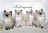 Buchcover Katzenparade (Tischkalender 2024 DIN A5 quer), CALVENDO Monatskalender