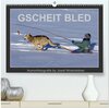 Buchcover GSCHEIT BLED - Humorfotografie (hochwertiger Premium Wandkalender 2024 DIN A2 quer), Kunstdruck in Hochglanz
