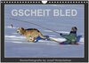 Buchcover GSCHEIT BLED - Humorfotografie (Wandkalender 2024 DIN A4 quer), CALVENDO Monatskalender