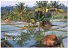 Buchcover Peter Fischer - Bali 2024 (Wandkalender 2024 DIN A4 quer), CALVENDO Monatskalender