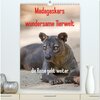 Buchcover Madagaskars wundersame Tierwelt - die Reise geht weiter (hochwertiger Premium Wandkalender 2024 DIN A2 hoch), Kunstdruck