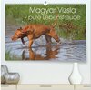 Buchcover Magyar Vizsla - pure Lebensfreude (hochwertiger Premium Wandkalender 2024 DIN A2 quer), Kunstdruck in Hochglanz