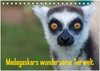 Buchcover Madagaskars wundersame Tierwelt (Tischkalender 2024 DIN A5 quer), CALVENDO Monatskalender