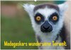 Buchcover Madagaskars wundersame Tierwelt (Wandkalender 2024 DIN A2 quer), CALVENDO Monatskalender