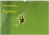 Buchcover Heimische Spinnen (Wandkalender 2024 DIN A3 quer), CALVENDO Monatskalender