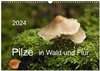 Buchcover Pilze in Wald und Flur (Wandkalender 2024 DIN A3 quer), CALVENDO Monatskalender