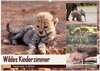 Buchcover Wildes Kinderzimmer - Tierkinder in Afrika (Wandkalender 2024 DIN A2 quer), CALVENDO Monatskalender