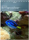 Buchcover Riffbewohner - Bunte Fische, Anemonen und noch viel mehr (Tischkalender 2024 DIN A5 hoch), CALVENDO Monatskalender
