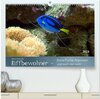 Buchcover Riffbewohner - Bunte Fische, Anemonen und noch viel mehr (hochwertiger Premium Wandkalender 2024 DIN A2 quer), Kunstdruc