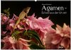 Buchcover Agamen - Echsen aus der Urzeit (Wandkalender 2024 DIN A2 quer), CALVENDO Monatskalender