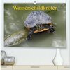 Buchcover Wasserschildkröten (hochwertiger Premium Wandkalender 2024 DIN A2 quer), Kunstdruck in Hochglanz