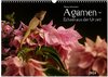 Buchcover Agamen - Echsen aus der Urzeit (Wandkalender 2024 DIN A3 quer), CALVENDO Monatskalender