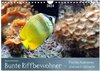 Buchcover Bunte Riffbewohner - Fische, Anemonen und noch viel mehr (Wandkalender 2024 DIN A4 quer), CALVENDO Monatskalender