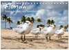 Buchcover Florida - Sonne, Strände und Naturparks (Tischkalender 2024 DIN A5 quer), CALVENDO Monatskalender