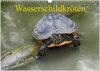 Buchcover Wasserschildkröten (Wandkalender 2024 DIN A3 quer), CALVENDO Monatskalender