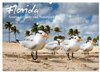 Buchcover Florida - Sonne, Strände und Naturparks (Wandkalender 2024 DIN A2 quer), CALVENDO Monatskalender