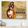 Wenn ich groß bin werd' ich Boxer (hochwertiger Premium Wandkalender 2024 DIN A2 quer), Kunstdruck in Hochglanz width=