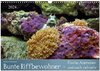 Buchcover Bunte Riffbewohner - Fische, Anemonen und noch viel mehr (Wandkalender 2024 DIN A3 quer), CALVENDO Monatskalender