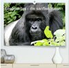 Buchcover Berggorillas - die sanften Riesen (hochwertiger Premium Wandkalender 2024 DIN A2 quer), Kunstdruck in Hochglanz