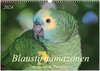 Buchcover Blaustirnamazonen - Papageien in Paraguay (Wandkalender 2024 DIN A3 quer), CALVENDO Monatskalender
