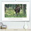 Buchcover Emotionale Momente: Europäischer Elch. / CH-Version (hochwertiger Premium Wandkalender 2024 DIN A2 quer), Kunstdruck in 