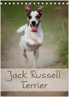 Buchcover Jack Russell Terrier (Tischkalender 2024 DIN A5 hoch), CALVENDO Monatskalender