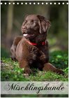 Buchcover Mischlingshunde (Tischkalender 2024 DIN A5 hoch), CALVENDO Monatskalender