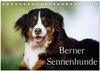 Buchcover Berner Sennenhunde (Tischkalender 2024 DIN A5 quer), CALVENDO Monatskalender