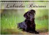 Buchcover Labrador Retriever (Tischkalender 2024 DIN A5 quer), CALVENDO Monatskalender