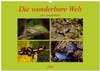 Buchcover Die wunderbare Welt der Amphibien (Wandkalender 2024 DIN A2 quer), CALVENDO Monatskalender