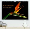 Buchcover Blütenschönheiten (hochwertiger Premium Wandkalender 2024 DIN A2 quer), Kunstdruck in Hochglanz