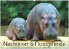 Buchcover Nashörner & Flusspferde (Wandkalender 2024 DIN A2 quer), CALVENDO Monatskalender