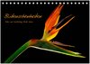 Buchcover Blütenschönheiten (Tischkalender 2024 DIN A5 quer), CALVENDO Monatskalender