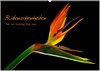 Buchcover Blütenschönheiten (Wandkalender 2024 DIN A2 quer), CALVENDO Monatskalender