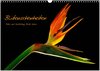 Buchcover Blütenschönheiten (Wandkalender 2024 DIN A3 quer), CALVENDO Monatskalender