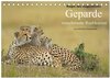 Buchcover Magie des Augenblicks - Geparde - verschmuste Raubkatzen (Tischkalender 2024 DIN A5 quer), CALVENDO Monatskalender