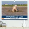 Buchcover POWERHUNDE 2024 (hochwertiger Premium Wandkalender 2024 DIN A2 quer), Kunstdruck in Hochglanz
