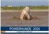 Buchcover POWERHUNDE 2024 (Tischkalender 2024 DIN A5 quer), CALVENDO Monatskalender