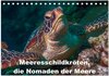 Buchcover Meeresschildkröten, die Nomaden der Meere (Tischkalender 2024 DIN A5 quer), CALVENDO Monatskalender