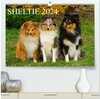 Buchcover Sheltie 2024 (hochwertiger Premium Wandkalender 2024 DIN A2 quer), Kunstdruck in Hochglanz