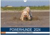 Buchcover POWERHUNDE 2024 (Wandkalender 2024 DIN A4 quer), CALVENDO Monatskalender