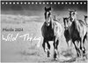 Buchcover Pferde 2024 Wild Thing (Tischkalender 2024 DIN A5 quer), CALVENDO Monatskalender
