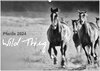 Buchcover Pferde 2024 Wild Thing (Wandkalender 2024 DIN A2 quer), CALVENDO Monatskalender