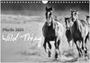 Buchcover Pferde 2024 Wild Thing (Wandkalender 2024 DIN A4 quer), CALVENDO Monatskalender